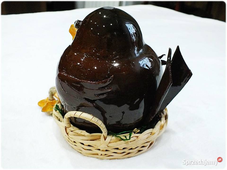 Duże grube ptaszysko Boczunio w gnieździe szuka Żary