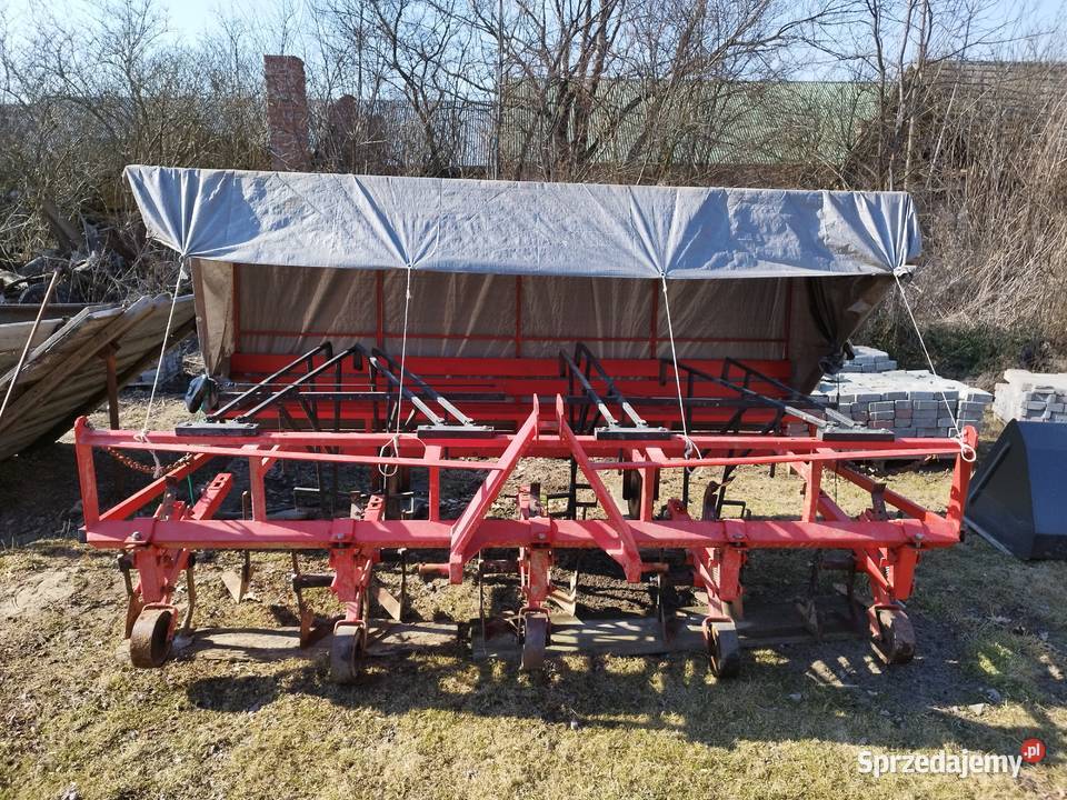 Sprzedam dziabaczkę lubelskie Łukowa sprzedam