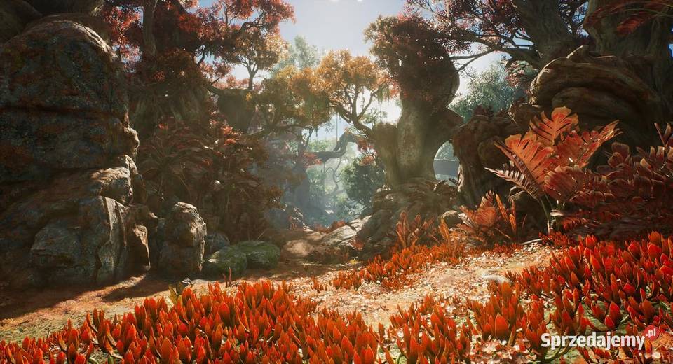 Outcast A Beginning PC Rzeszów