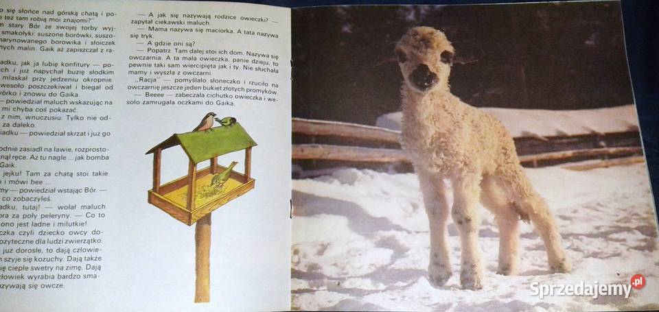 Bór i Gaik w zimowej szacie Marek Pietrzak Chełm sprzedam