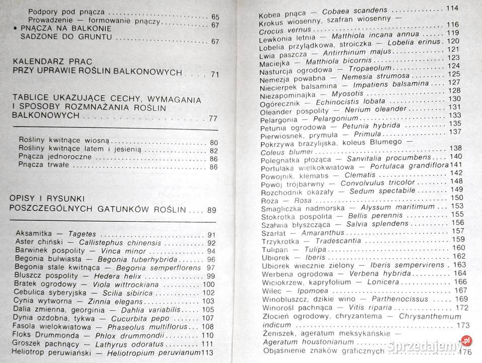 Balkon w kwiatach Anita PaszkiewiczTokarczyk