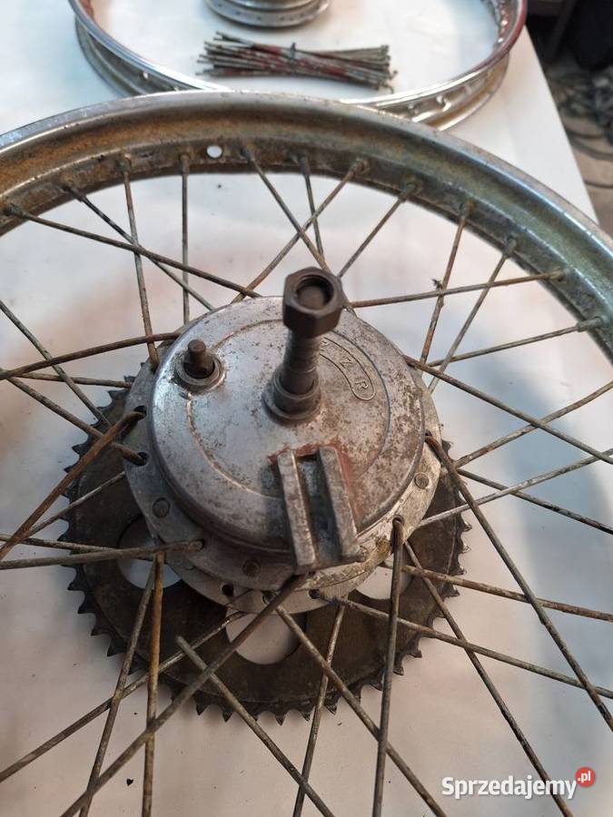 Koła romet kadet pegaz polo ogar 200 205 Pozostałe Strzyżów