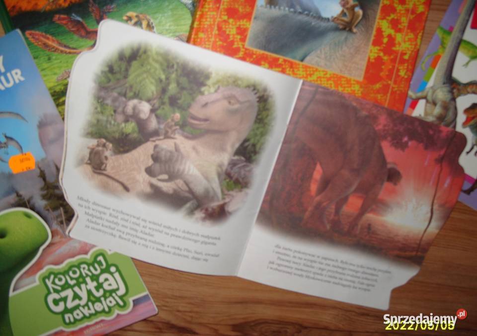 Zestaw 5 książek o dinozaurach Rawicz sprzedam