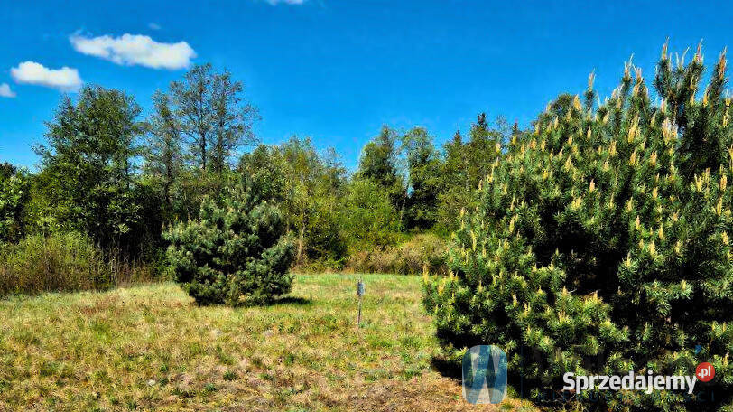 Działka 1940 metrów Zambski Kościelne