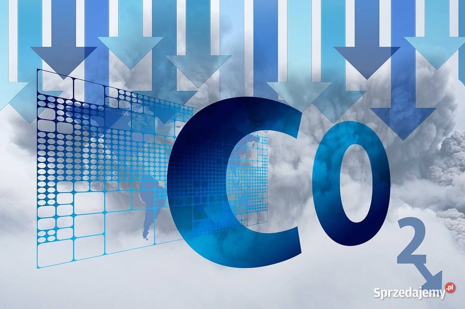 Raporty dnsh z ochrony środowiska cennik Pozostałe usługi dolnośląskie Wrocław