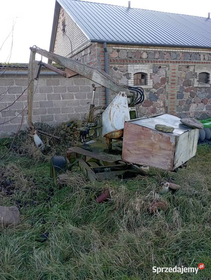 Sprzedam cyklopa Leśna Podlaska