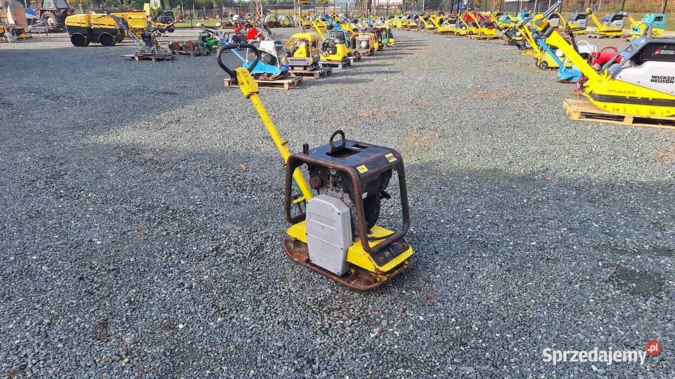 Zagęszczarka Płyta Ubijak WACKER NEUSON DPU 2440 dolnośląskie Trzebnica