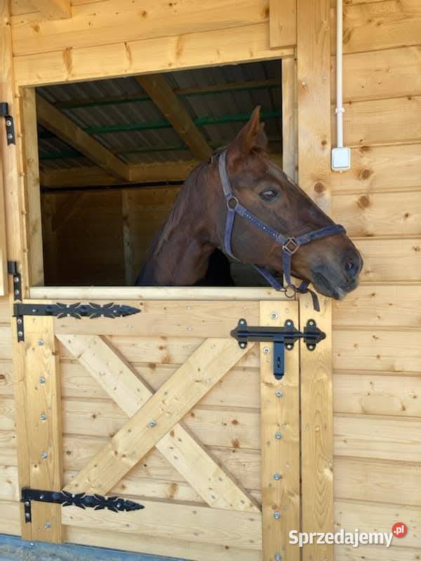 Klamka do drzwi uchwyt antaba kolanka zawias hak Żywiec