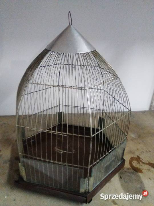 Klatka ptaków Ptaki wielkopolskie Poznań