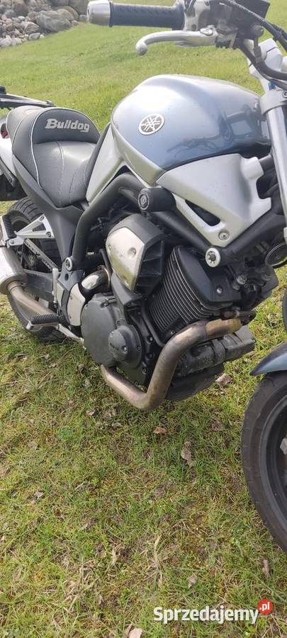 Yamaha BT1100 Bulldog 1100cm3 Yamaha Grabowo Królewskie