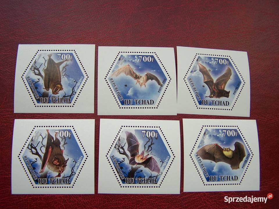 Czad 2014 MNH Fauna Zwierzęta Nietoperze Tychy