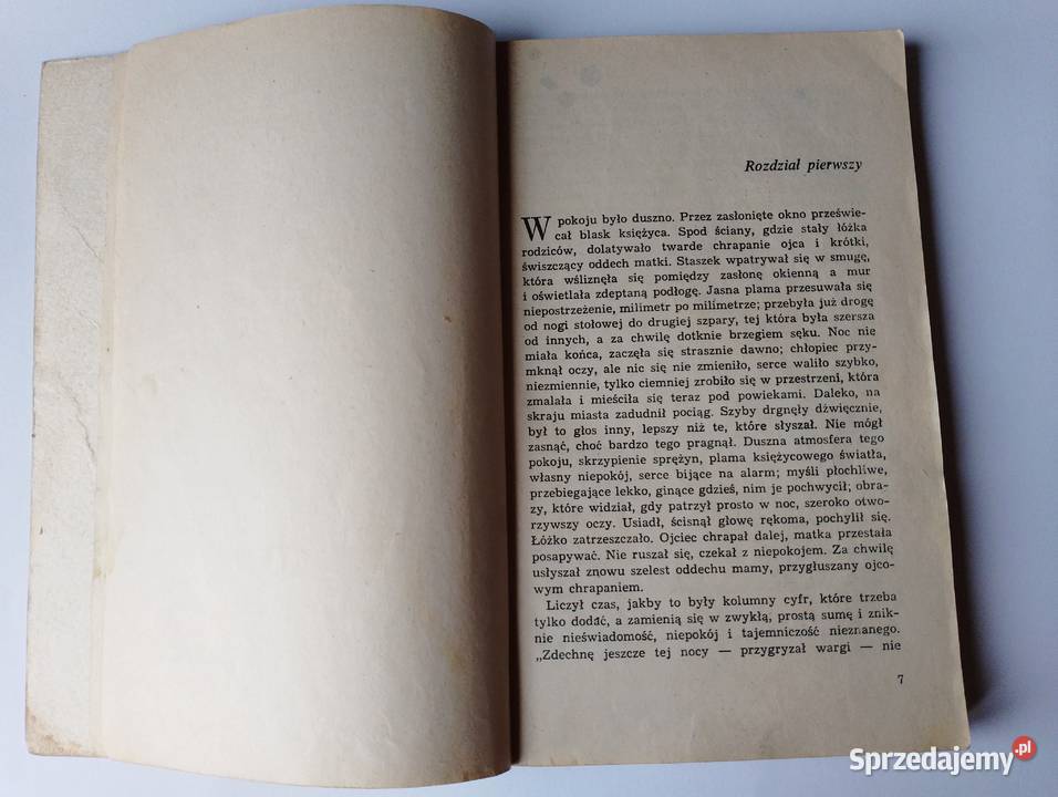 POWIEŚĆ młodzieży Trója ze sprawowania W dla dzieci z klas IV-VI (10-12 lat)  Złotniki