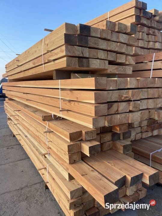 Legary modrzew syberyjski 50x70 mm 50x100mm Grodzisk Mazowiecki