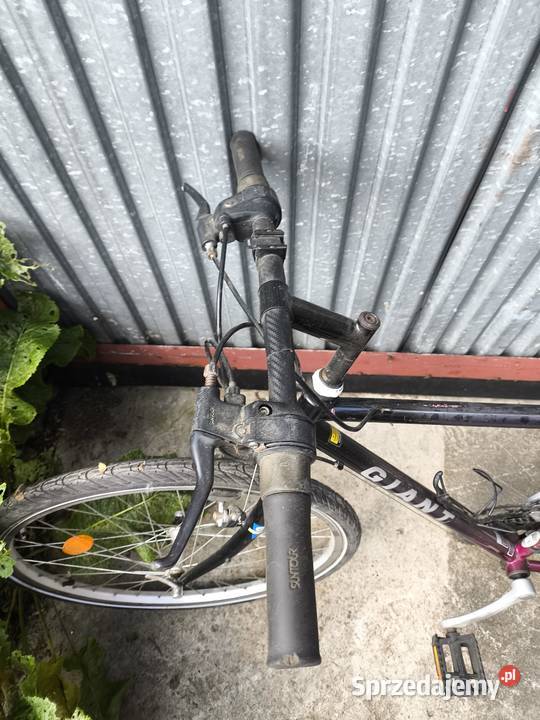 Rower Giant Chicago 26 Wolbrom