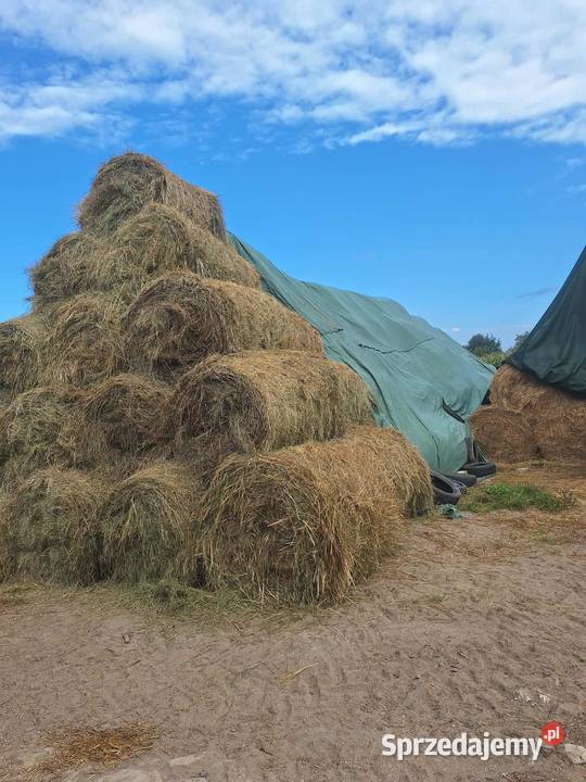 Sprzedam siano Księżomierz