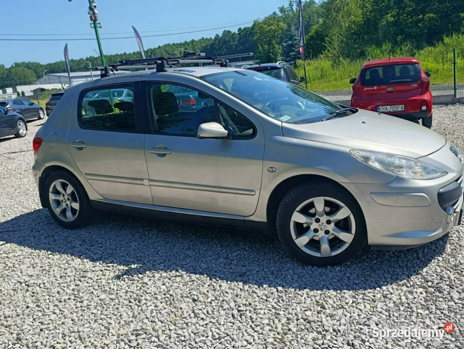 Peugeot 307 Krajowy benzyna 16 klimatyzacja II VAT marża Dulowa