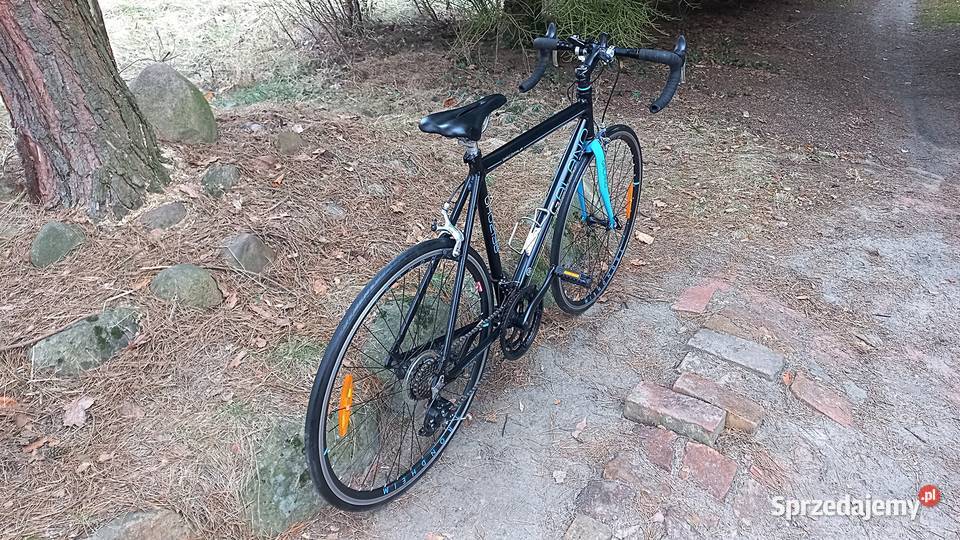 Alu Rower Szosowy Kolarka Galano Giro DItalia Wołów sprzedam