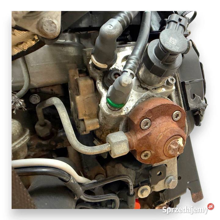 SILNIK TZJB Ford Fiesta VI VII MK7 16 TDCI 95 Chełm
