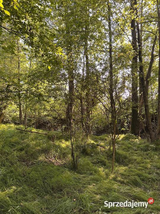 Działka z możliwością zabudowy 3800m2 Rudawica sprzedam