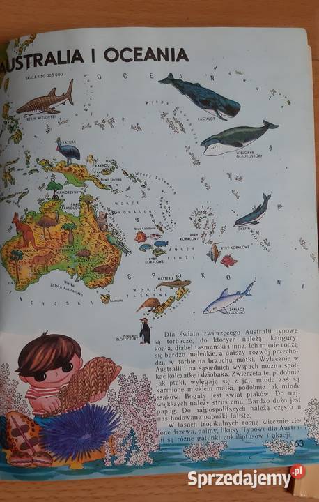 Pakiet 5 książek do geografii słownik zagadki i śląskie Sosnowiec