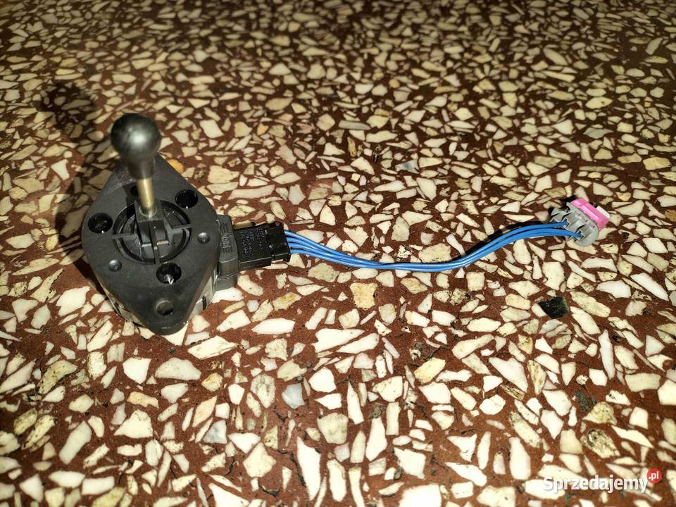 Siłowni kregulacji zasiegu świateł przednich BMW Poręba sprzedam