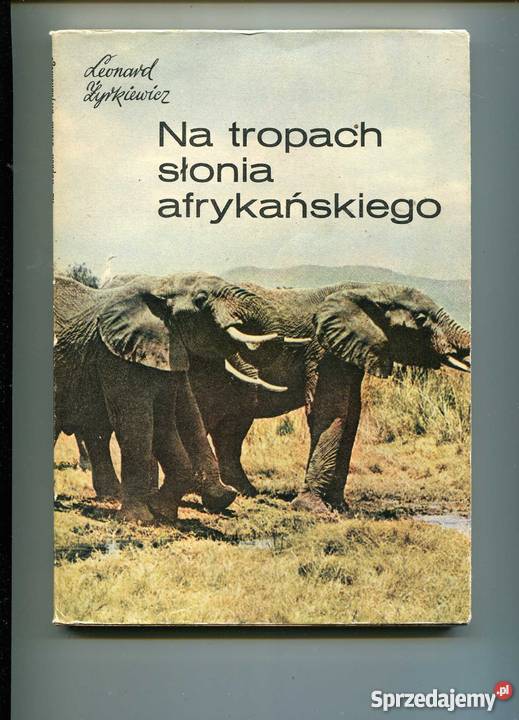 Na tropach słonia afrykańskiego Pozostałe Szczecin