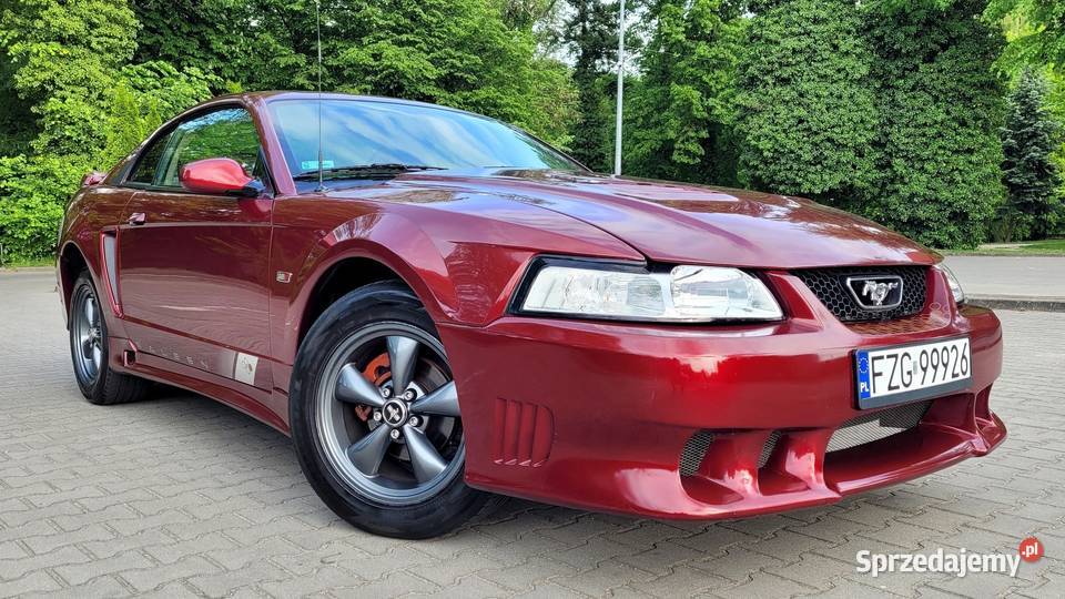 SALEEN S281 Ford Mustang zamienię na samochód Brenno sprzedam
