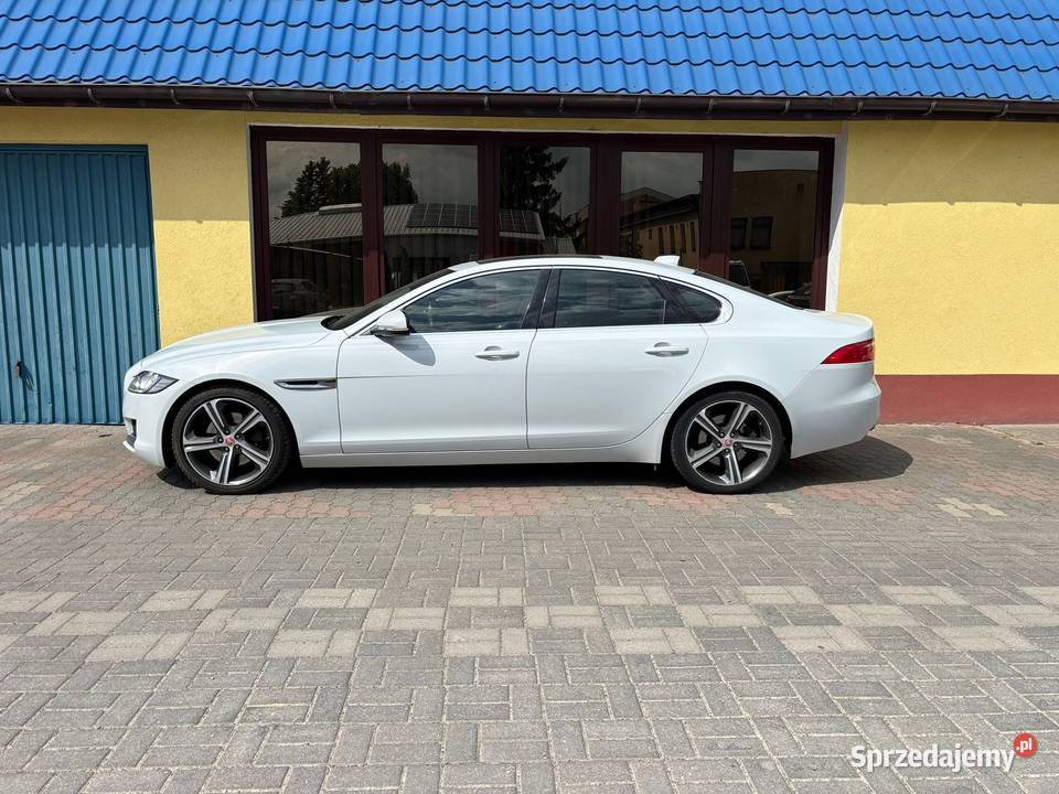 Jaguar XF 20d 2015r Biała Perła OKAZJA lubelskie Zamość