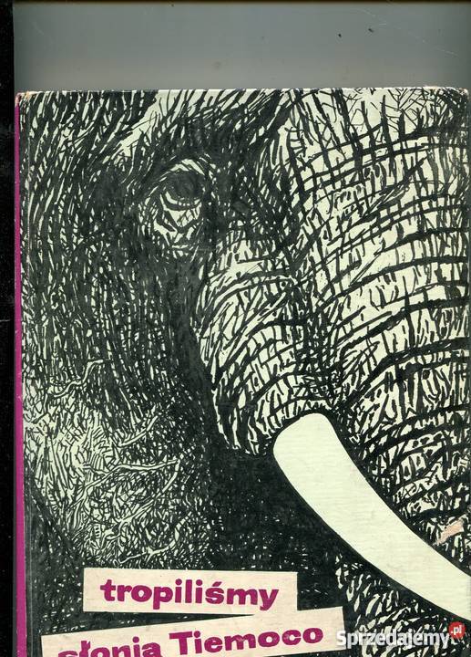 Tropiliśmy słonia Tiemoco Grzimek zachodniopomorskie