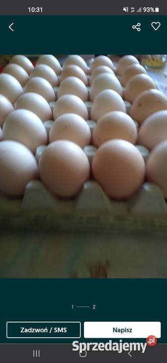 Sprzedam jajka ekologiczne wiejskie