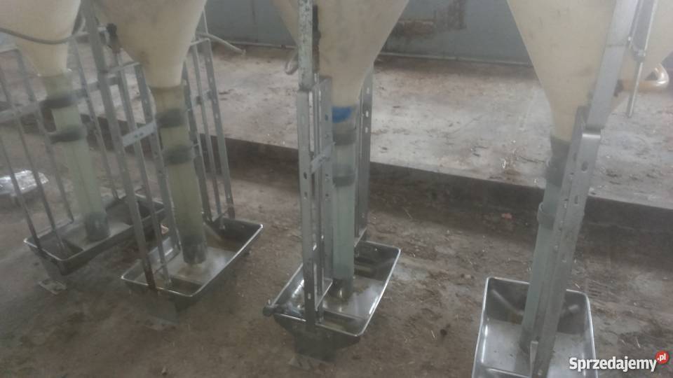 Tubomatyautomaty paszowe nieuszkodzony kujawsko-pomorskie