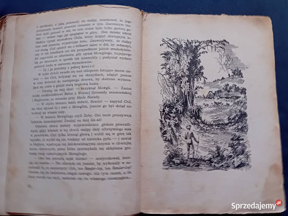 Rudyard Kipling Księga dżungli Wyd Polskie R Koźminek sprzedam