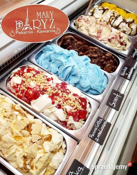 SPRZEDAM 1500 Witryna Statyczna gałka Włoska Gastronomia Mikstat