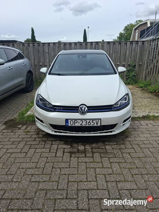 VW GOLF VII GTE Hybryda plugin 204 Krzyżowa Dolina