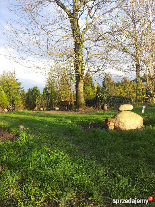 dom z działką 40 Warszawy Drwalewice mazowieckie Drwalewice