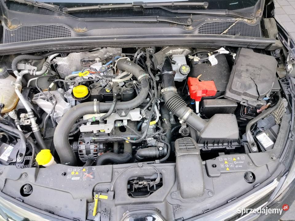 Clio V 23r 10 tce 23 t automat Full led airbag przyciemniane szyby łódzkie