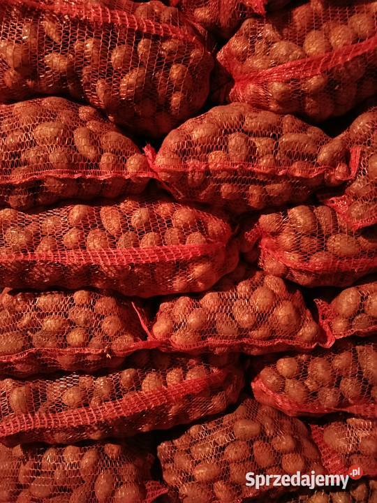 Sprzedam ziemniaki paszowe Pozostałe lubelskie