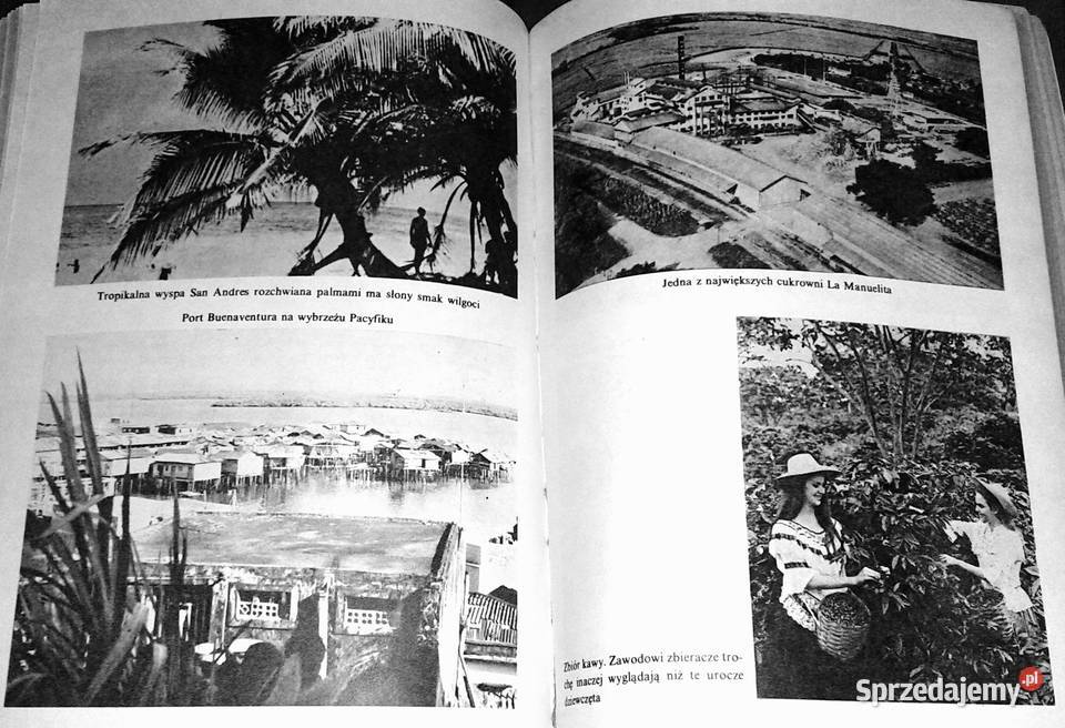 Bogotańskie ABC Anna Słowakiewicz sprzedam