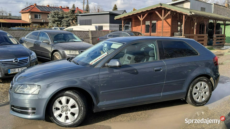 Audi A3 3drzwiowe 16TDi105OPŁACONYBezwypadkowy A3 śląskie Częstochowa