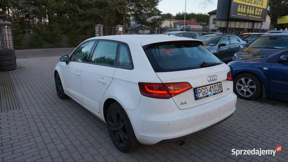 Audi A3 Sportback piękny Gwarancja 8V 2012 1598cm3 A3 lubuskie Zielona Góra