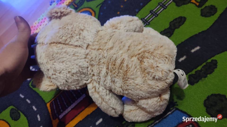 Słodki kudłaty miś Książ Wielkopolski