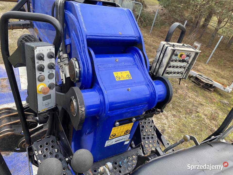 Do drzewa drewna lasu Biłgoraj