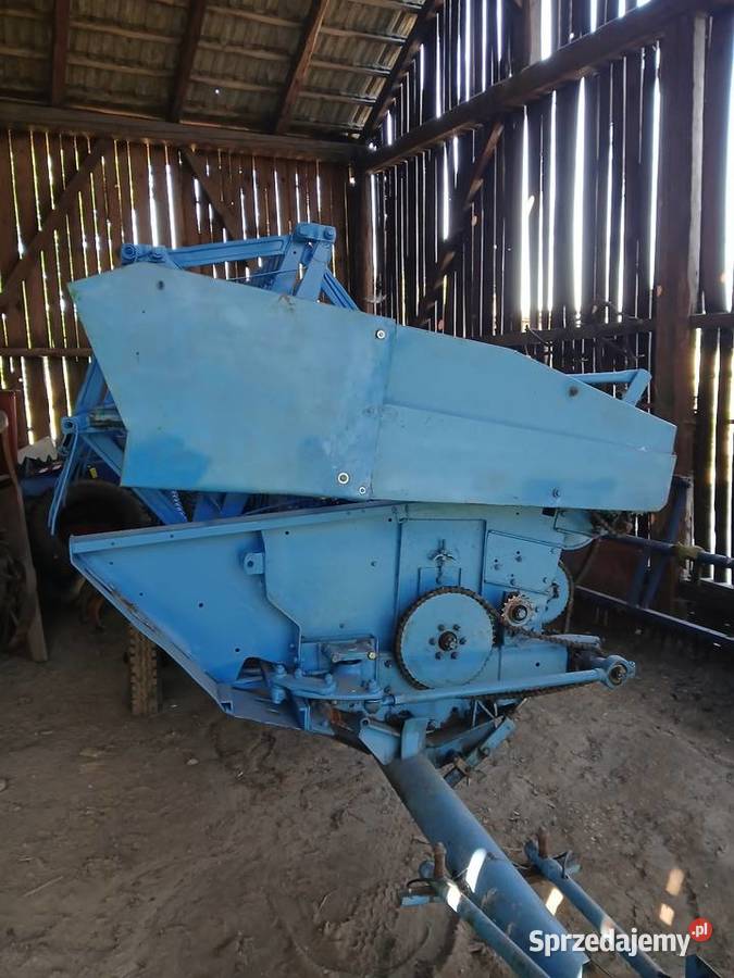 Bizon Rekord Z058 Pogwizdów