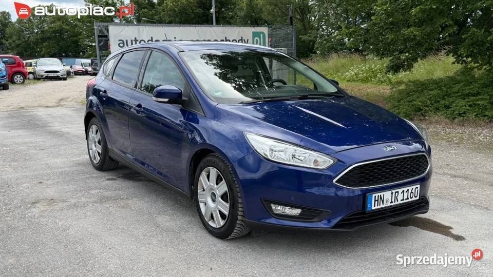 Ford Focus Raty Klima usb benzynka 125 Niski Hatchback wielkopolskie