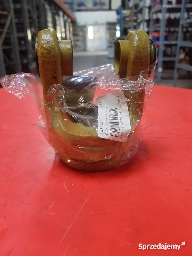 Widłak wewnętrzny 151015361