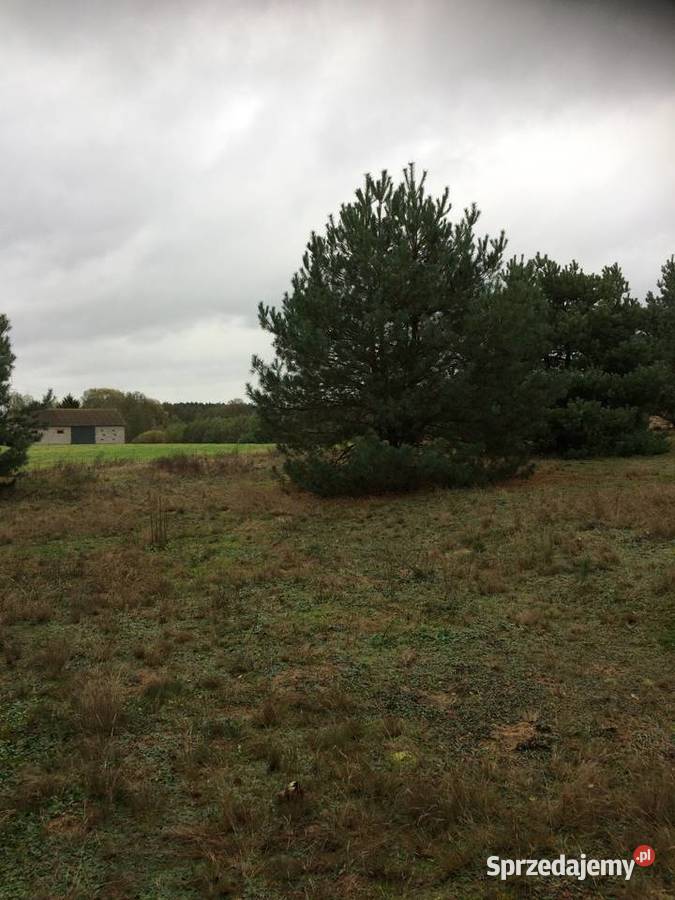 Działki budowlane Jezioro Zdworskie