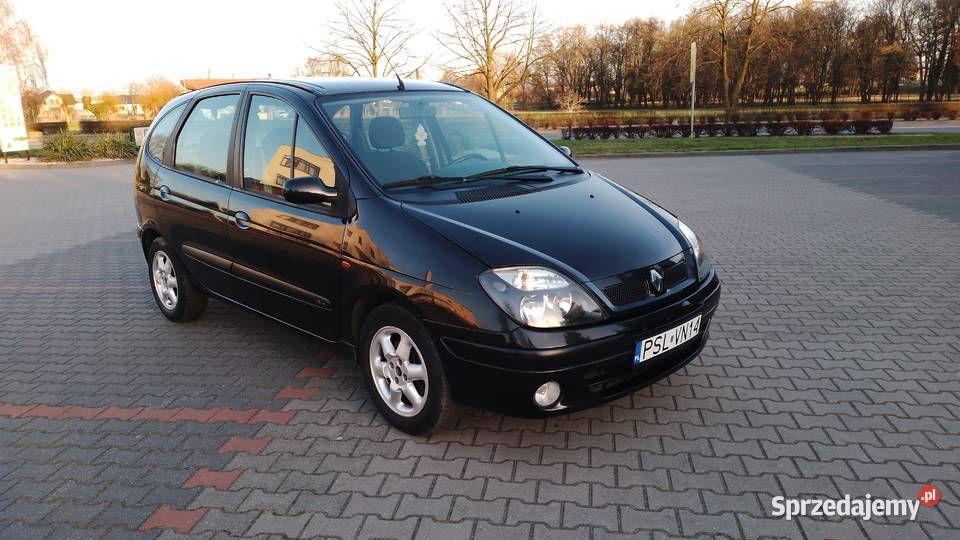 Renault Scenic 16 v16 Rok produkcji 2003 Kalisz sprzedam