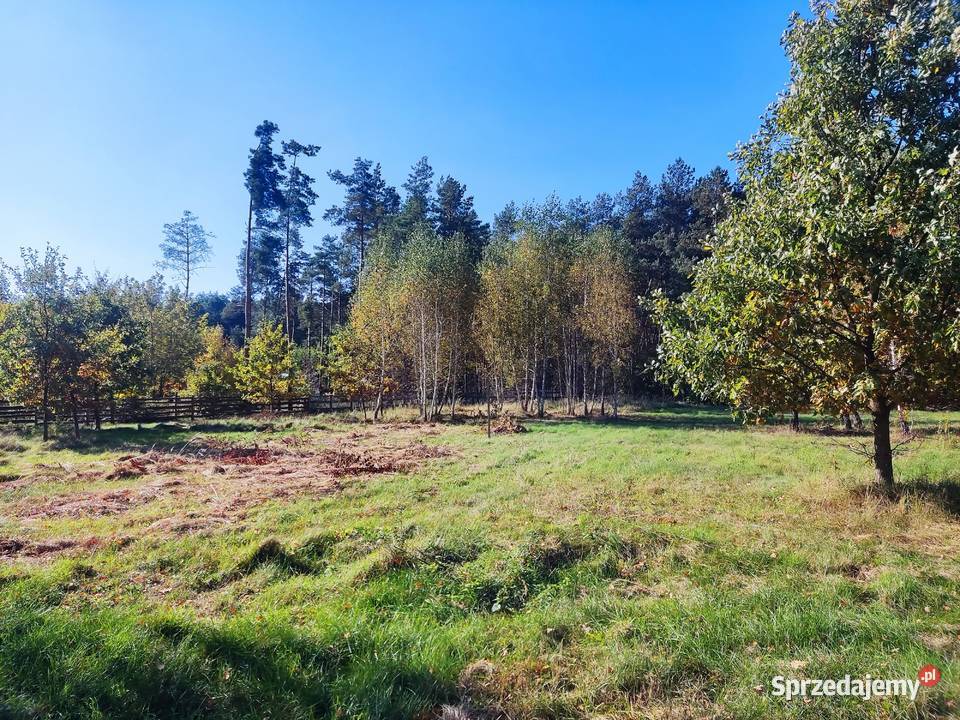 2 działki budowlane 2x 800 m2 Grębiszew Mińsk Sprzedaż mazowieckie