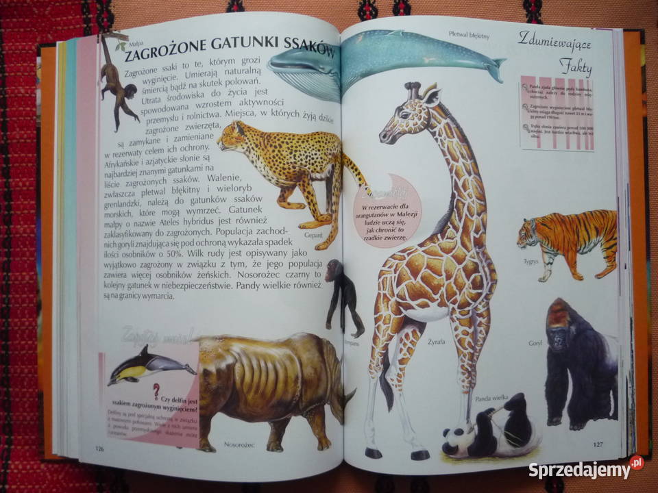 NOWA Encyklopedia Poznajemy świat zachodniopomorskie