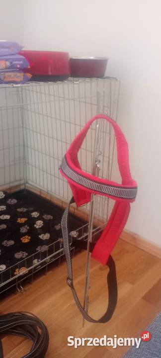 Klatka psa o wymiarach 8076107 lubelskie